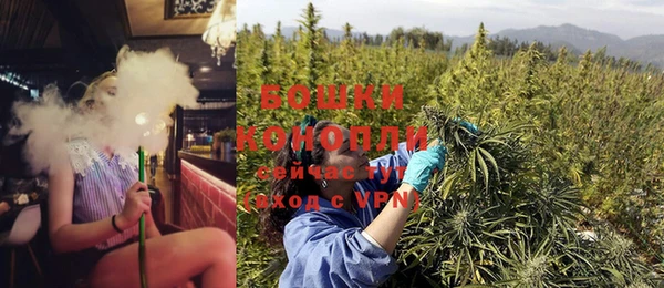 дживик Россошь