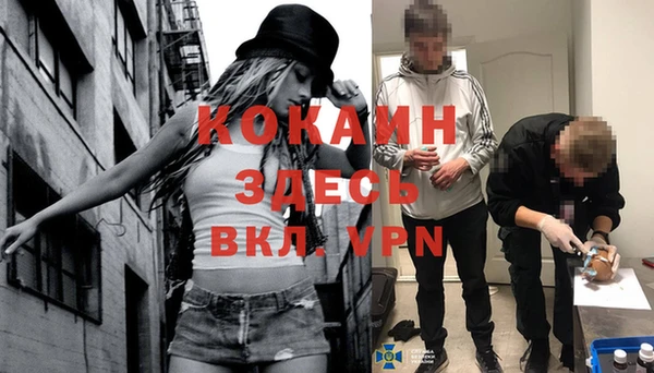 мяу мяу мука Рославль